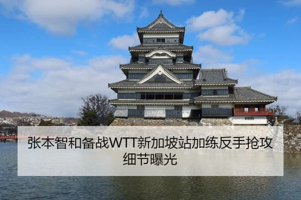 张本智和备战WTT新加坡站加练反手抢攻细节曝光